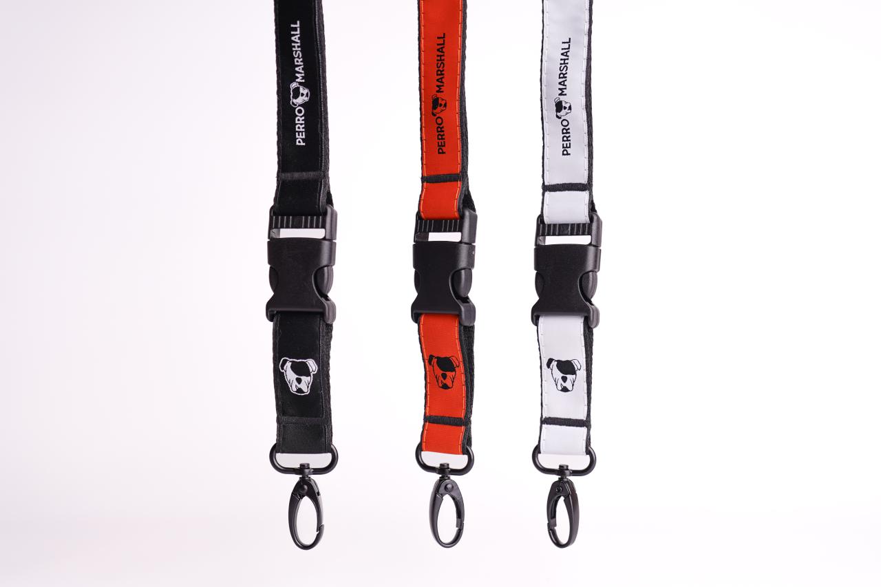 Smycz Perro Marshall 