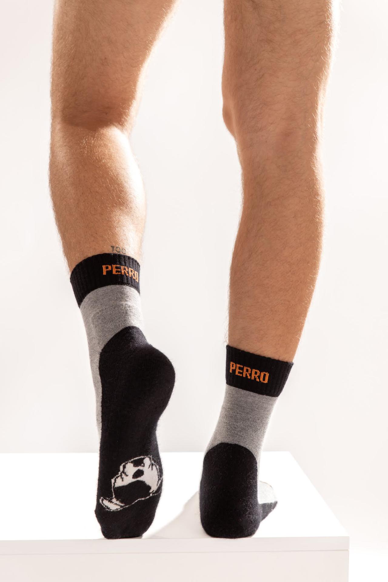 Skarpetki Perro Marshall merino