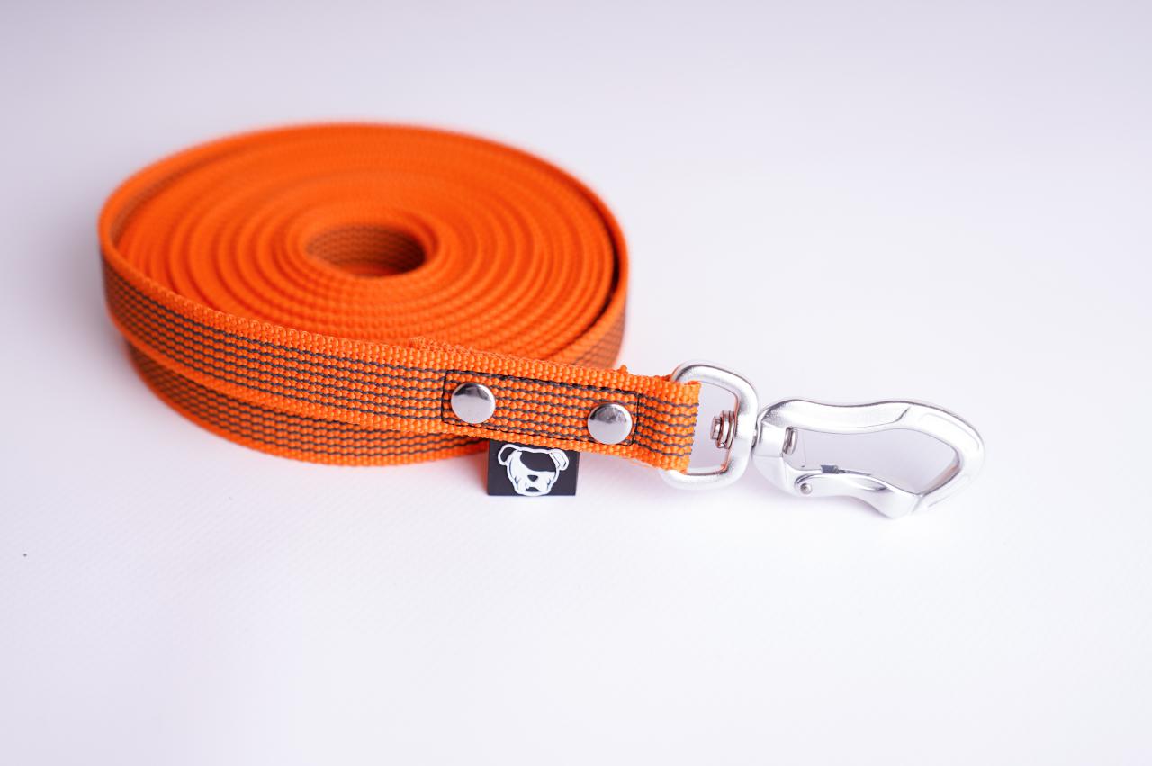 Smycz linka 5m Perro Marshall gumowana