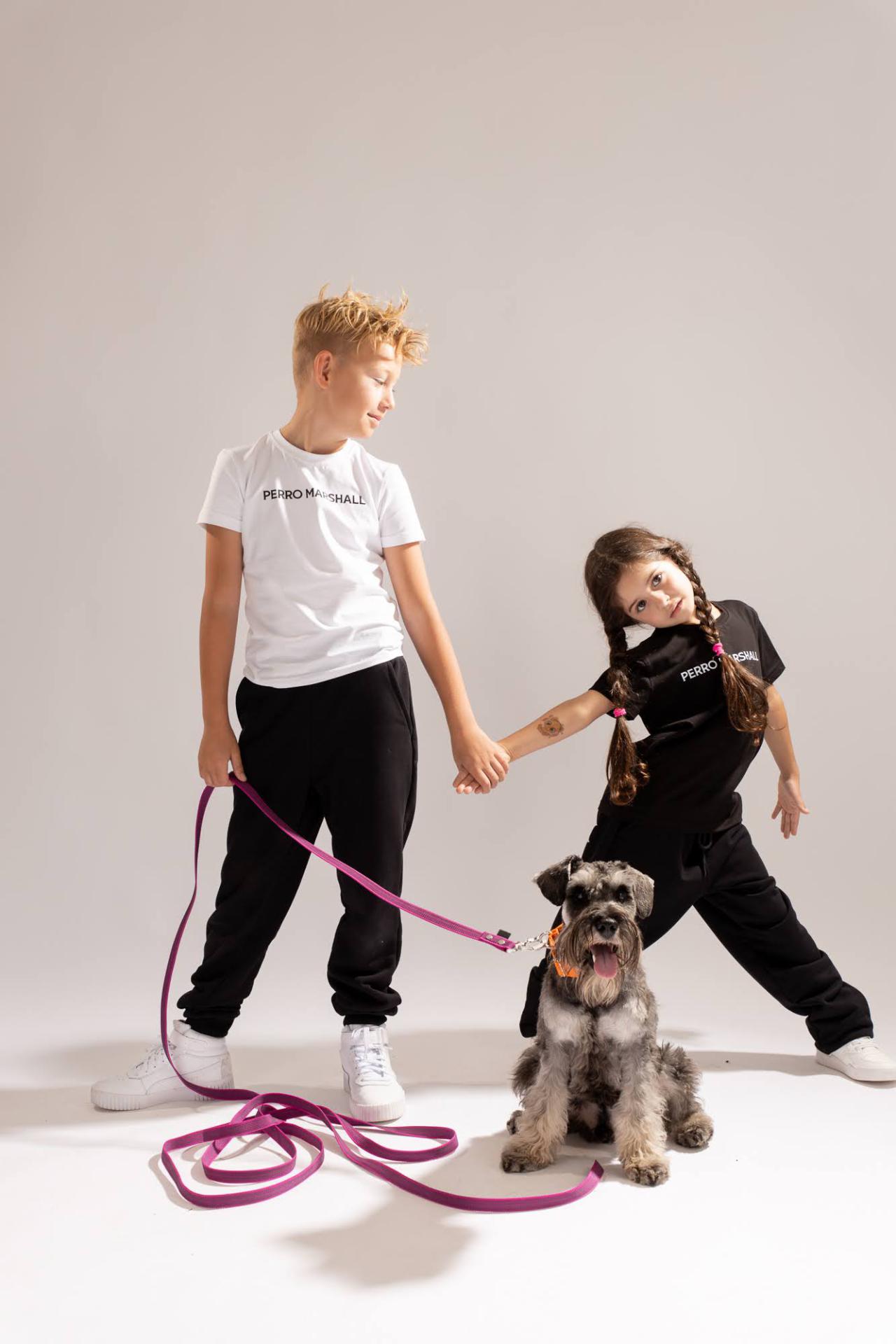 Smycz linka 5m Perro Marshall gumowana