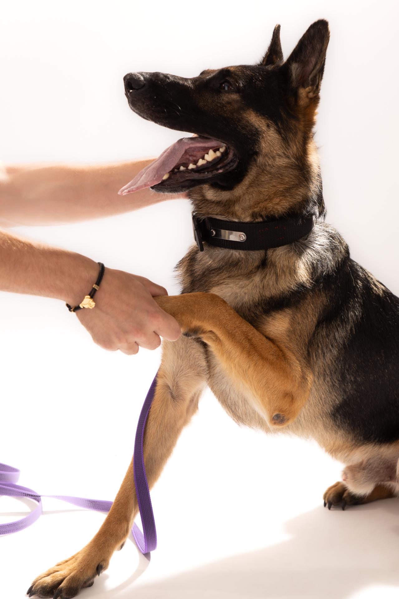 Bransoletka męska Perro Marshall