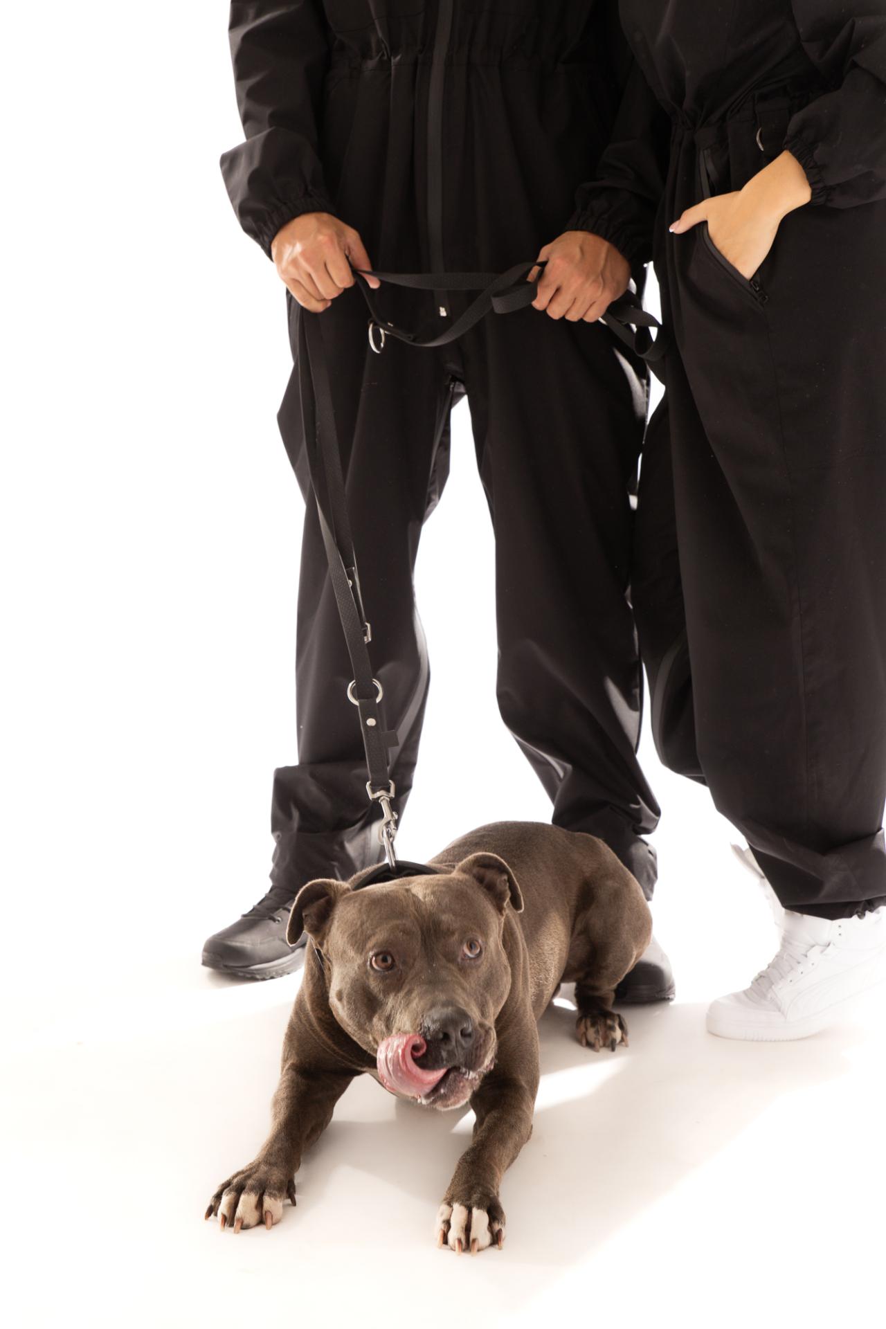 Smycz przepinana 3m Perro Marshall plaster miodu