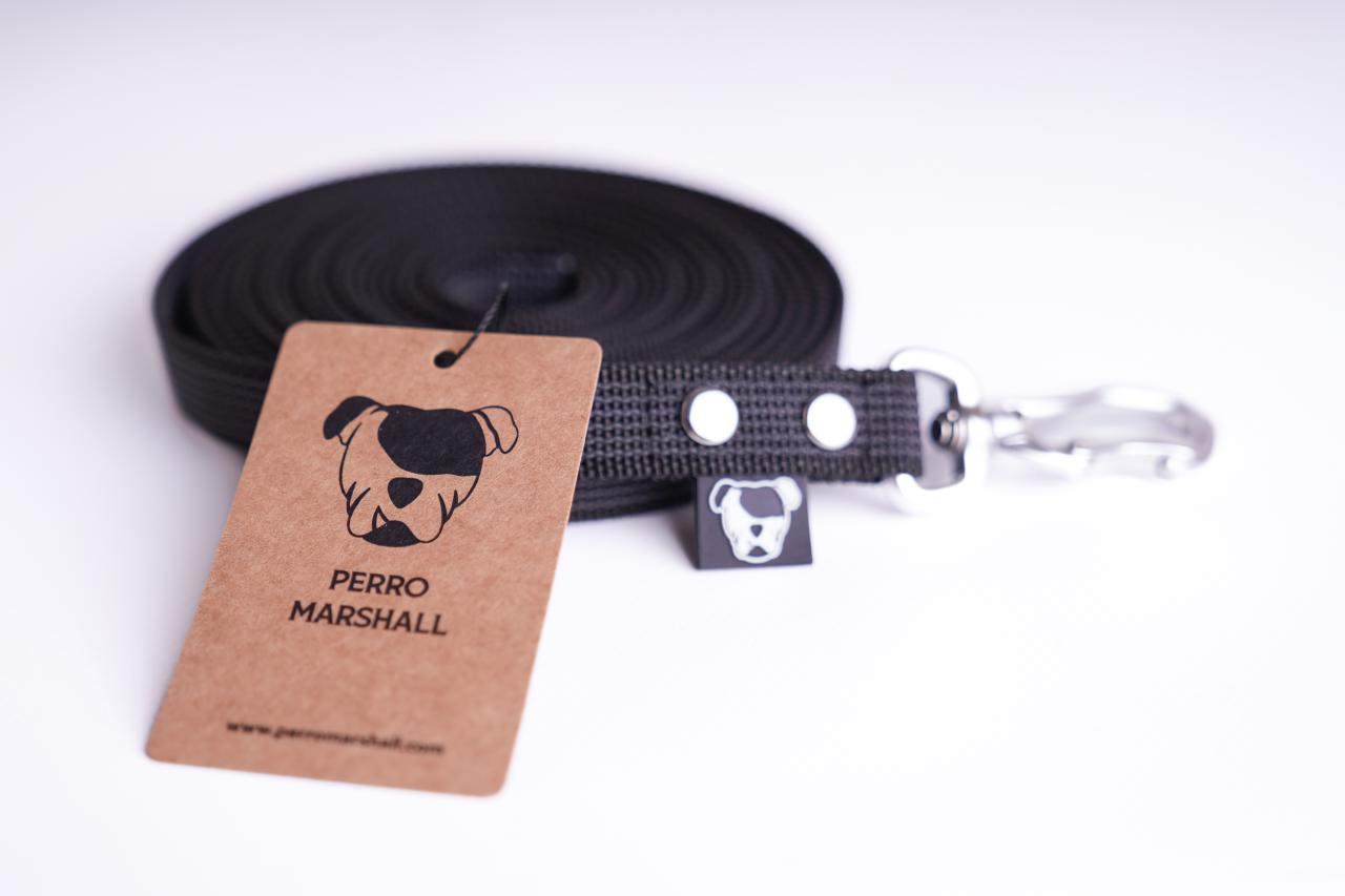 Smycz linka 5m Perro Marshall gumowana