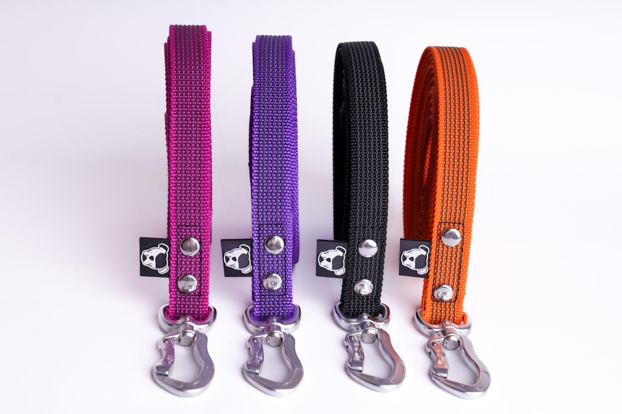 Smycz linka 5m Perro Marshall gumowana